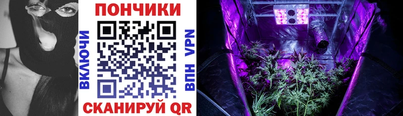 Купить  Каменск-Шахтинский  Каннабис SATIVA & INDICA 